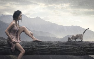 Young woman and cat on a trunk